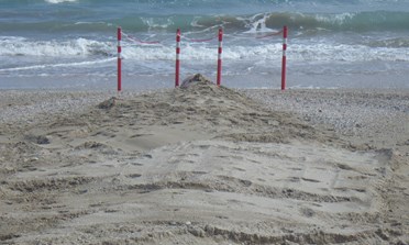 Telecontrollo sugli scolmatori finanziato un progetto di Aset. Dalla Regione 221.000 euro per migliorare la balneabilità